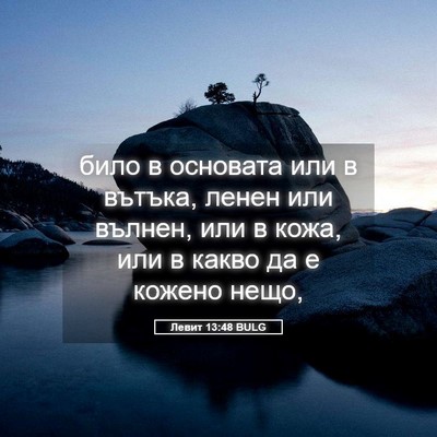Picture 05 - Левит 13:48 BULG - било в основата или в - Bible Verse Picture