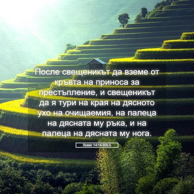 Picture 05 - Левит 14:14 BULG - После свещеникът да вземе - Bible Verse Picture