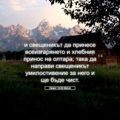 Picture 05 - Левит 14:20 BULG - и свещеникът да принесе - Bible Verse Picture