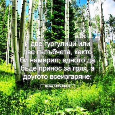 Picture 05 - Левит 14:22 BULG - и две гургулици или две - Bible Verse Picture