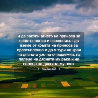 Picture 05 - Левит 14:25 BULG - и да заколи агнето на - Bible Verse Picture