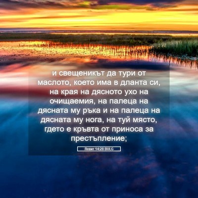 Picture 05 - Левит 14:28 BULG - и свещеникът да тури от - Bible Verse Picture