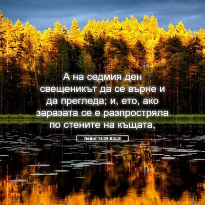Picture 05 - Левит 14:39 BULG - А на седмия ден свещеникът - Bible Verse Picture