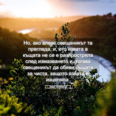 Picture 05 - Левит 14:48 BULG - Но, ако влезе свещеникът та - Bible Verse Picture