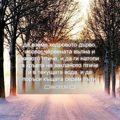 Picture 05 - Левит 14:51 BULG - да вземе кедровото дърво, - Bible Verse Picture