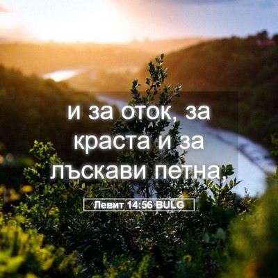 Picture 05 - Левит 14:56 BULG - и за оток, за краста и за - Bible Verse Picture