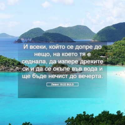 Picture 05 - Левит 15:22 BULG - И всеки, който се допре до - Bible Verse Picture