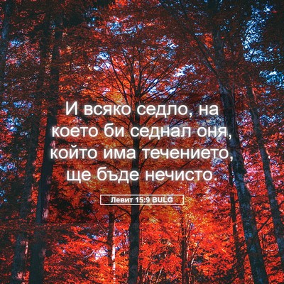Picture 05 - Левит 15:9 BULG - И всяко седло, на което би - Bible Verse Picture