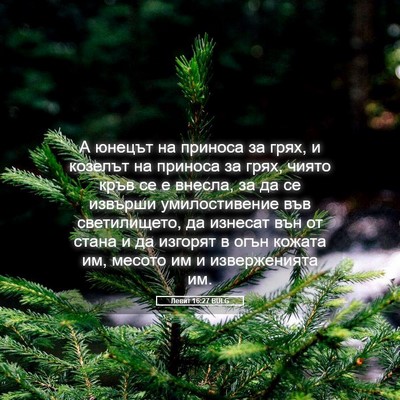 Picture 05 - Левит 16:27 BULG - А юнецът на приноса за - Bible Verse Picture