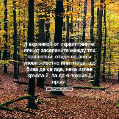 Picture 05 - Левит 17:13 BULG - И ако някой от - Bible Verse Picture