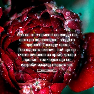 Picture 05 - Левит 17:4 BULG - без да го е привел до входа - Bible Verse Picture