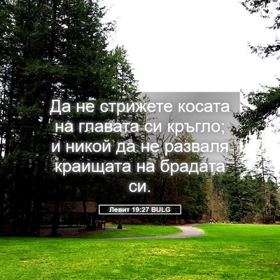 Picture 05 - Левит 19:27 BULG - Да не стрижете косата на - Bible Verse Picture