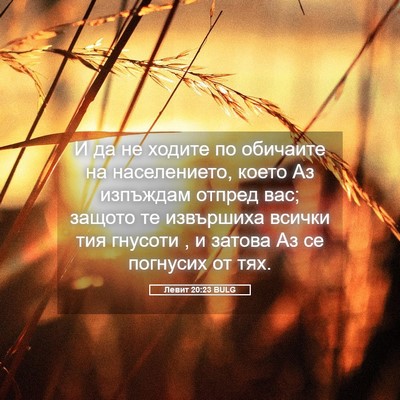 Picture 05 - Левит 20:23 BULG - И да не ходите по обичаите - Bible Verse Picture