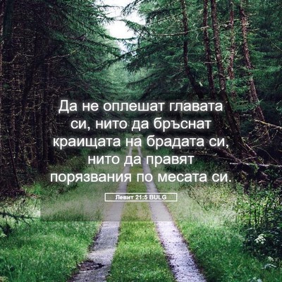 Picture 05 - Левит 21:5 BULG - Да не оплешат главата си, - Bible Verse Picture