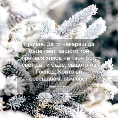 Picture 05 - Левит 21:8 BULG - Прочее, да го накараш да - Bible Verse Picture