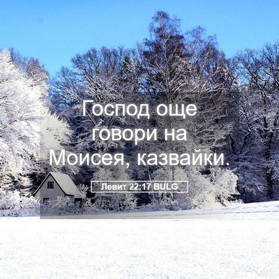 Picture 05 - Левит 22:17 BULG - Господ още говори на - Bible Verse Picture