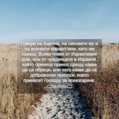 Picture 05 - Левит 22:18 BULG - Говори на Аарона, на - Bible Verse Picture