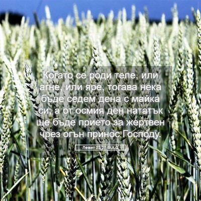 Picture 05 - Левит 22:27 BULG - Когато се роди теле, или - Bible Verse Picture