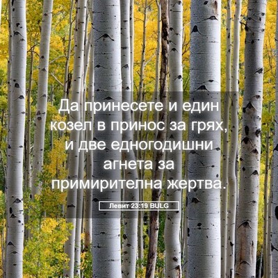 Picture 05 - Левит 23:19 BULG - Да принесете и един козел в - Bible Verse Picture