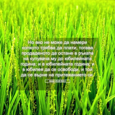 Picture 05 - Левит 25:28 BULG - Но ако не може да намери - Bible Verse Picture