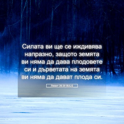 Picture 05 - Левит 26:20 BULG - Силата ви ще се иждивява - Bible Verse Picture
