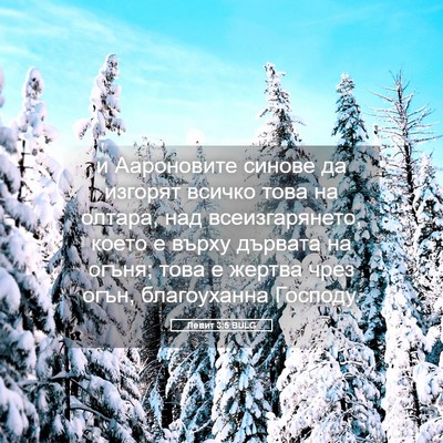 Picture 05 - Левит 3:5 BULG - и Аароновите синове да - Bible Verse Picture