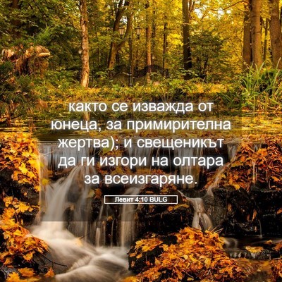 Picture 05 - Левит 4:10 BULG - както се изважда от юнеца, - Bible Verse Picture