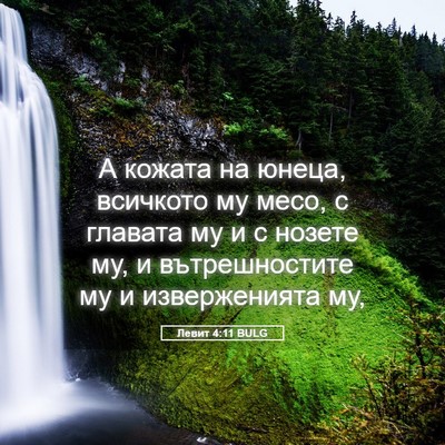 Picture 05 - Левит 4:11 BULG - А кожата на юнеца, всичкото - Bible Verse Picture