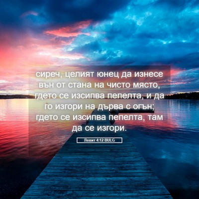 Picture 05 - Левит 4:12 BULG - сиреч, целият юнец да - Bible Verse Picture