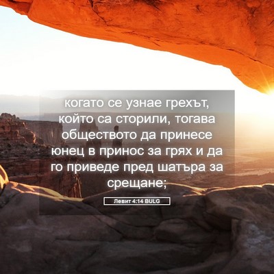 Picture 05 - Левит 4:14 BULG - когато се узнае грехът, - Bible Verse Picture