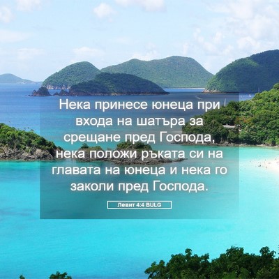 Picture 05 - Левит 4:4 BULG - Нека принесе юнеца при - Bible Verse Picture