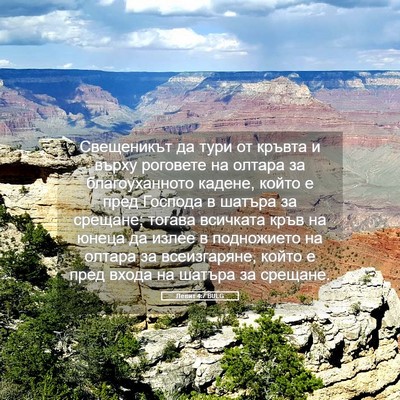 Picture 05 - Левит 4:7 BULG - Свещеникът да тури от - Bible Verse Picture