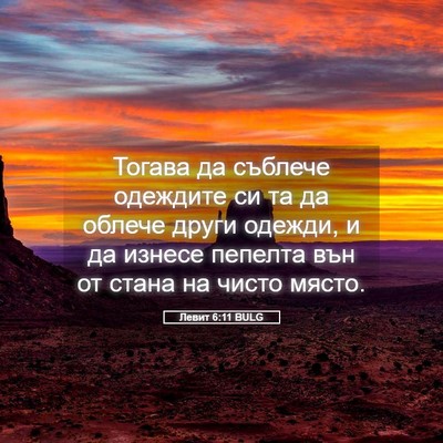 Picture 05 - Левит 6:11 BULG - Тогава да съблече одеждите - Bible Verse Picture
