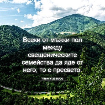 Picture 05 - Левит 6:29 BULG - Всеки от мъжки пол между - Bible Verse Picture