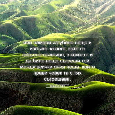 Picture 05 - Левит 6:3 BULG - или намери изгубено нещо и - Bible Verse Picture