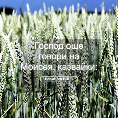 Picture 05 - Левит 6:8 BULG - Господ още говори на - Bible Verse Picture