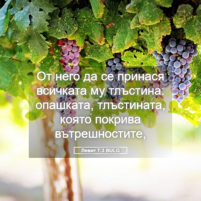 Picture 05 - Левит 7:3 BULG - От него да се принася - Bible Verse Picture