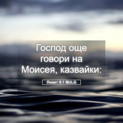 Picture 05 - Левит 8:1 BULG - Господ още говори на - Bible Verse Picture