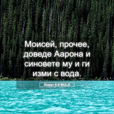 Picture 05 - Левит 8:6 BULG - Моисей, прочее, доведе - Bible Verse Picture