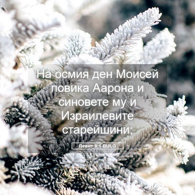 Picture 05 - Левит 9:1 BULG - На осмия ден Моисей повика - Bible Verse Picture