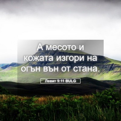 Picture 05 - Левит 9:11 BULG - А месото и кожата изгори на - Bible Verse Picture
