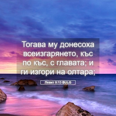 Picture 05 - Левит 9:13 BULG - Тогава му донесоха - Bible Verse Picture