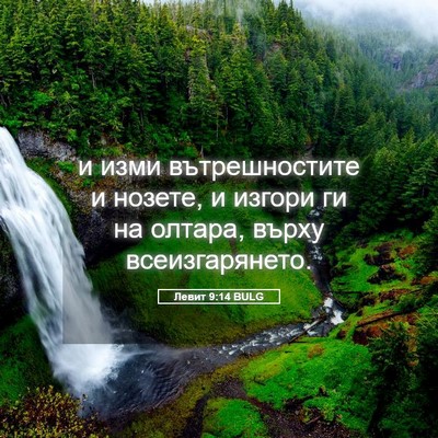 Picture 05 - Левит 9:14 BULG - и изми вътрешностите и - Bible Verse Picture
