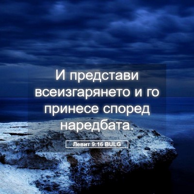 Picture 05 - Левит 9:16 BULG - И представи всеизгарянето - Bible Verse Picture
