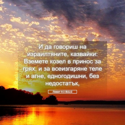 Picture 05 - Левит 9:3 BULG - И да говориш на - Bible Verse Picture