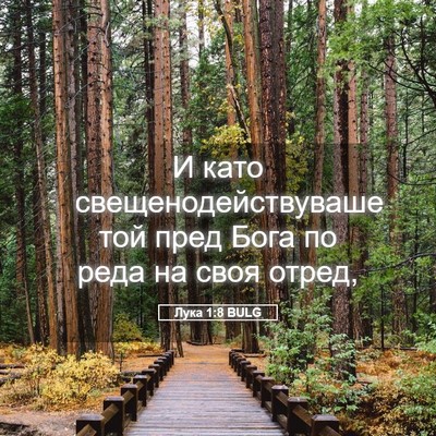 Picture 05 - Лука 1:8 BULG - И като свещенодействуваше - Bible Verse Picture