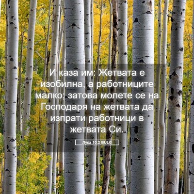 Picture 05 - Лука 10:2 BULG - И каза им: Жетвата е - Bible Verse Picture