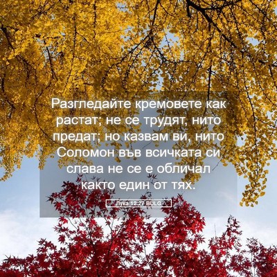 Picture 05 - Лука 12:27 BULG - Разгледайте кремовете как - Bible Verse Picture