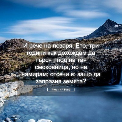 Picture 05 - Лука 13:7 BULG - И рече на лозаря: Ето, три - Bible Verse Picture