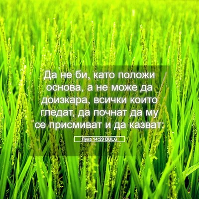 Picture 05 - Лука 14:29 BULG - Да не би, като положи - Bible Verse Picture